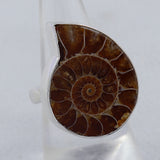 Millions of Years old Fossil Ammonite Jewelry Set