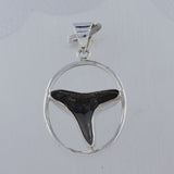 Shark Tooth Sterling Silver Pendant