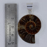 Fossil Ammonite Silver Pendant