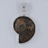 Fossil Ammonite Silver Pendant