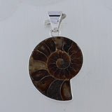 Fossil Ammonite Silver Pendant