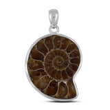 Fossil Ammonite Silver Pendant