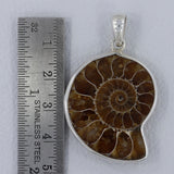 Fossil Ammonite Silver Pendant