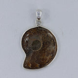 Fossil Ammonite Silver Pendant