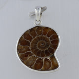 Fossil Ammonite Silver Pendant