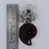 Ammonite Fossil, Meteorite Silver Pendant