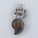 Ammonite Fossil, Meteorite Silver Pendant