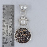 925 Silver Turritella Agate Pendant