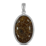 Fossil  Ammonite Silver Pendant