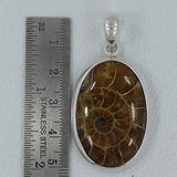 Fossil  Ammonite Silver Pendant