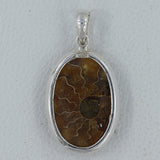 Fossil  Ammonite Silver Pendant