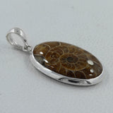 Fossil  Ammonite Silver Pendant