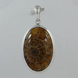 Fossil  Ammonite Silver Pendant