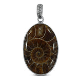 Fossil  Ammonite Silver Pendant