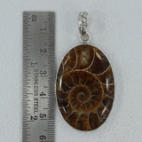 Fossil  Ammonite Silver Pendant