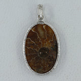 Fossil  Ammonite Silver Pendant