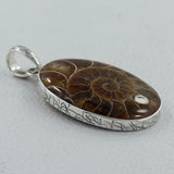 Fossil  Ammonite Silver Pendant