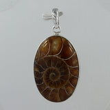 Fossil  Ammonite Silver Pendant