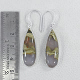 Rain Forest Jasper Silver Earrings