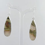 Rain Forest Jasper Silver Earrings