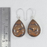 Rock of Ages - Stromatolite Silver Earrings