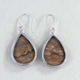 Rock of Ages - Stromatolite Silver Earrings