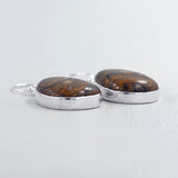 Rock of Ages - Stromatolite Silver Earrings