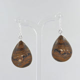 Rock of Ages - Stromatolite Silver Earrings