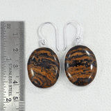 Rock of Ages - Stromatolite Silver Earrings