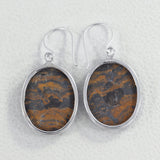 Rock of Ages - Stromatolite Silver Earrings