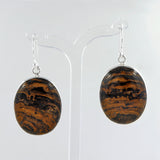 Rock of Ages - Stromatolite Silver Earrings