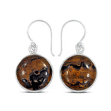 Rock of Ages - Stromatolite Silver Earrings