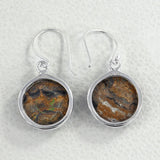 Rock of Ages - Stromatolite Silver Earrings