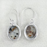 Raw Astrophyllite Handmade Earring 925 Sterling Silver