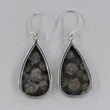 Black Coral Silver Earrings