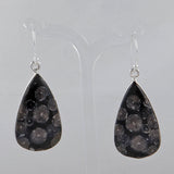 Black Coral Silver Earrings