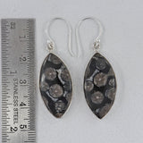 Black Coral Silver Earrings