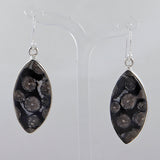 Black Coral Silver Earrings