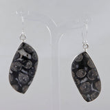 Black Coral Silver Earrings