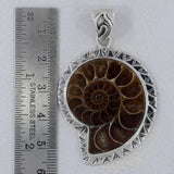 Fossil Ammonite Silver Pendant