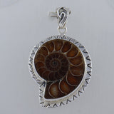 Fossil Ammonite Silver Pendant