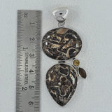 925 Silver Turritella Agate Pendant