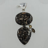 925 Silver Turritella Agate Pendant