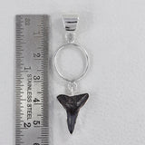 Fossilized Shark Tooth Silver Pendant