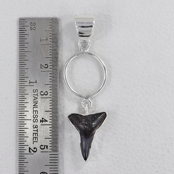 Fossilized Shark Tooth Silver Pendants