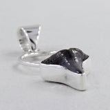 Fossilized Shark Tooth Silver Pendant