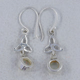 Natural Rainbow Moonstone Silver Earring