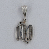 Muonionalusta Meteorite Silver Pendants
