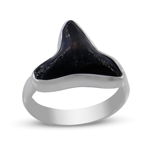Fossilized Shark Tooth Sterling Silver Rings