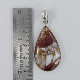 Spiny Oyster 925 Silver Pendant